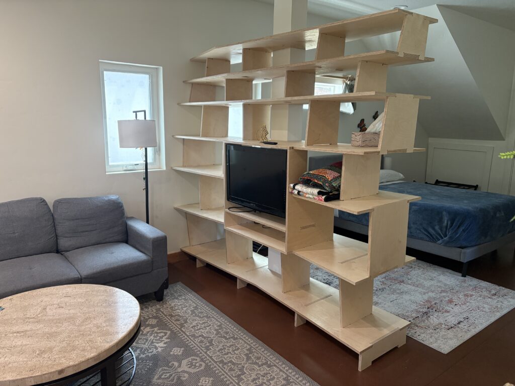shelving with tv installed
