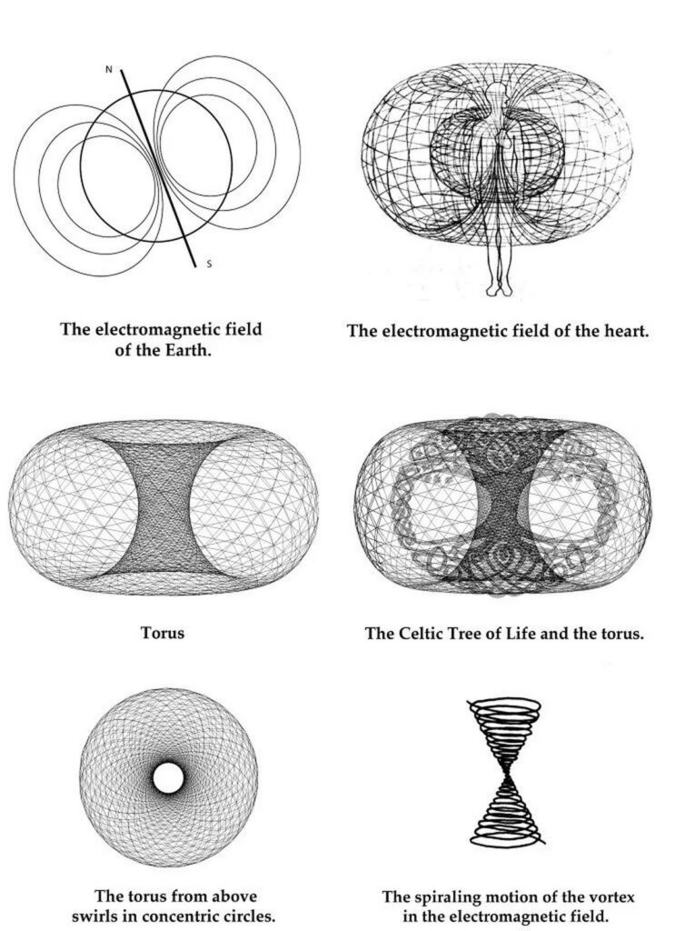 toroidal-2